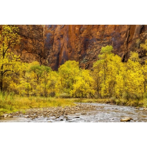 USA, Utah, Zion NP Stream in autumn landscape